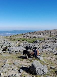 Os-Segredos-Interior-Portugal-Covilhã-caminhada