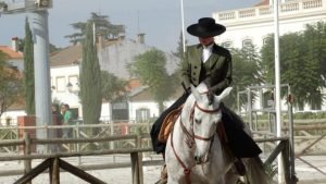 tradição-cultura-história-Centro-Lisboa-cavalo