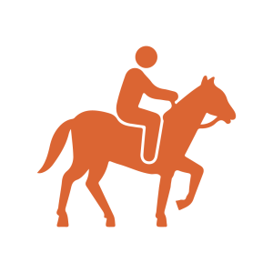 Equitación